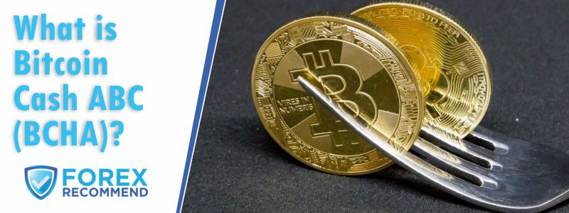 Bitcoin Cash Review